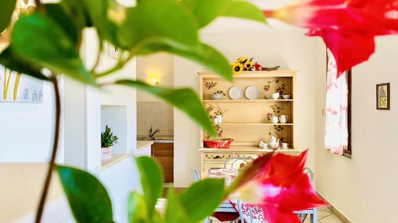 Casa In Maremma Tuscany Village Scarlino Εξωτερικό φωτογραφία