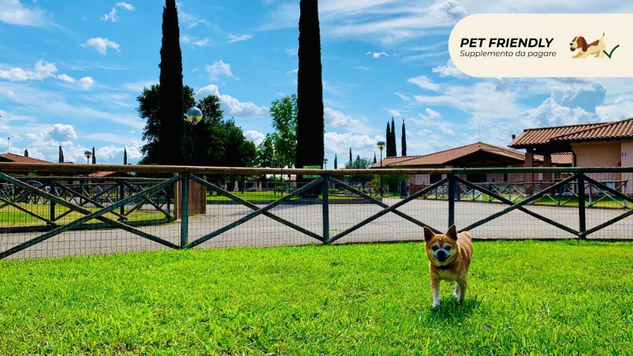Casa In Maremma Tuscany Village Scarlino Εξωτερικό φωτογραφία